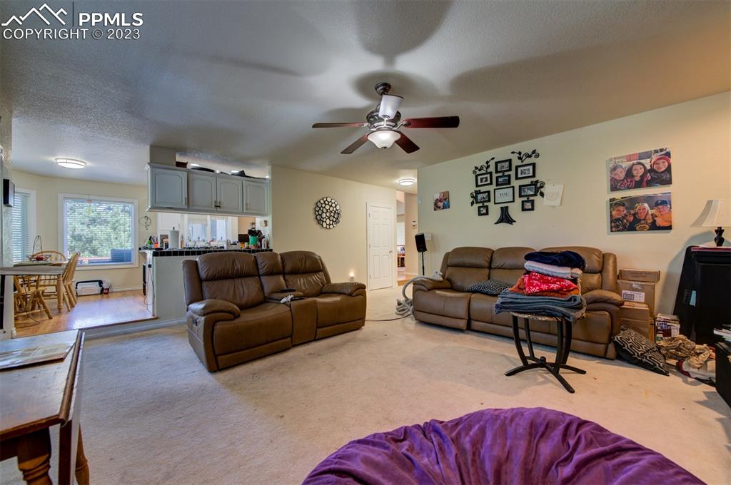 20210 Sheriffs Cove Monument, CO 80132 - Photo 13 of 38