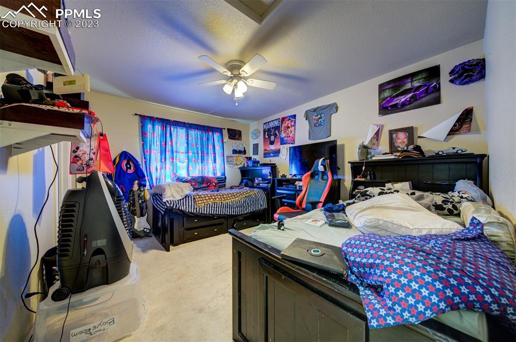 20210 Sheriffs Cove Monument, CO 80132 - Photo 15 of 38