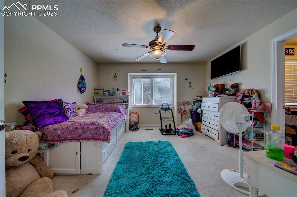 20210 Sheriffs Cove Monument, CO 80132 - Photo 17 of 38