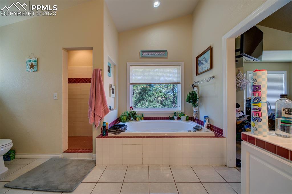 20210 Sheriffs Cove Monument, CO 80132 - Photo 22 of 38