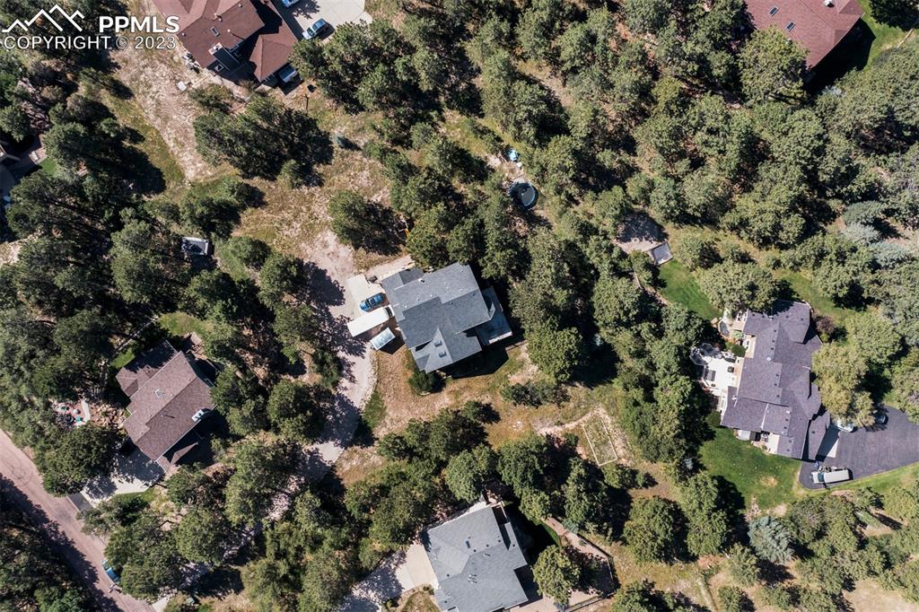 20210 Sheriffs Cove Monument, CO 80132 - Photo 36 of 38