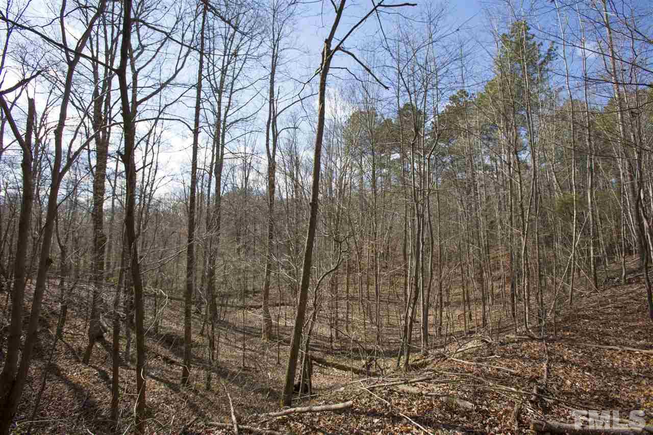 5304 Kemp Road Durham, NC 27703 - Photo 17 of 22 a view of a yard with large trees