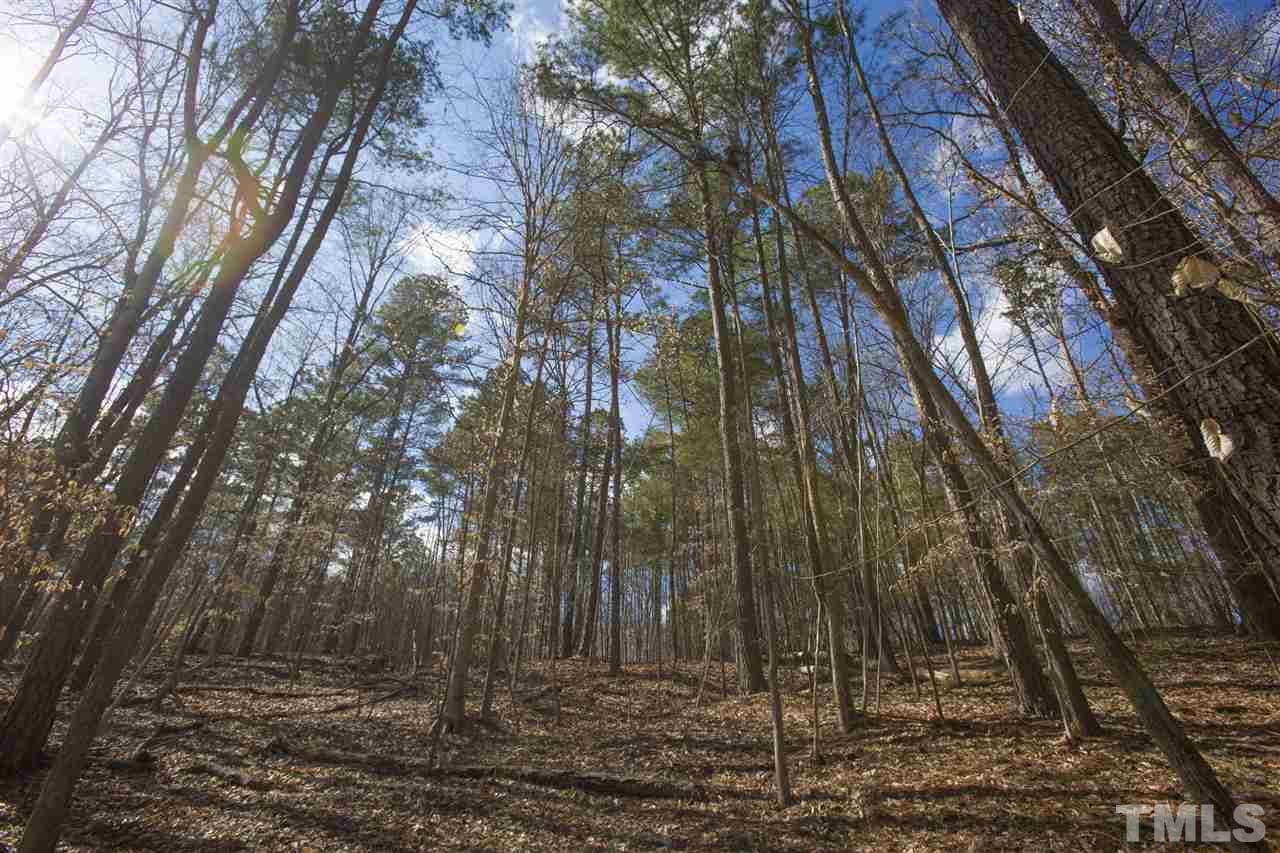 5304 Kemp Road Durham, NC 27703 - Photo 22 of 22 a backyard of a house with lots of trees
