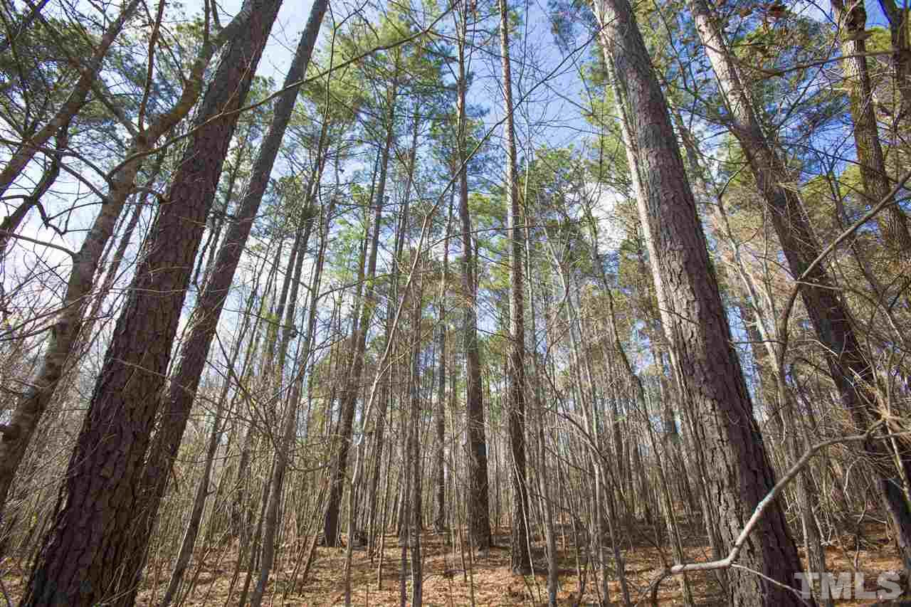5304 Kemp Road Durham, NC 27703 - Photo 6 of 22 a view of forest