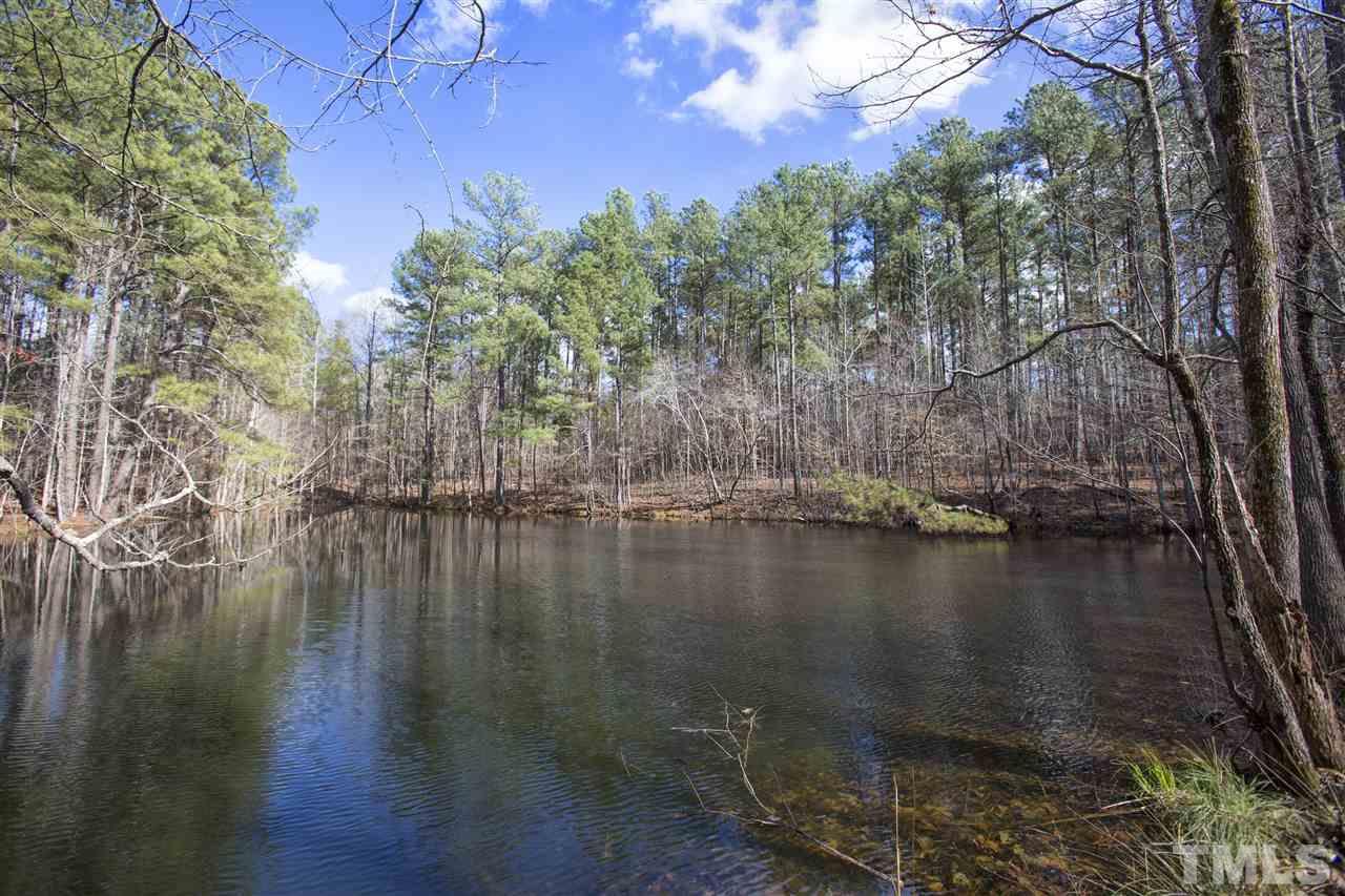 5304 Kemp Road Durham, NC 27703 - Photo 7 of 22 a view of water with a lake