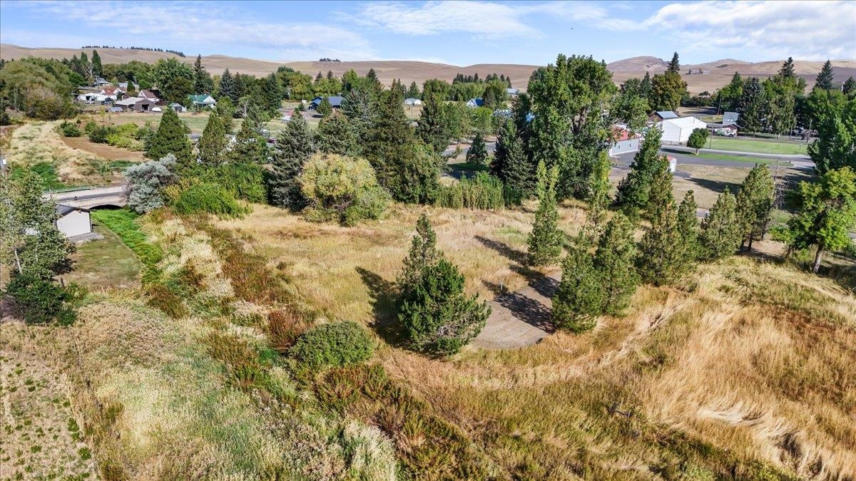 Nna Adams Street Farmington, WA 99128 - Photo 11 of 13