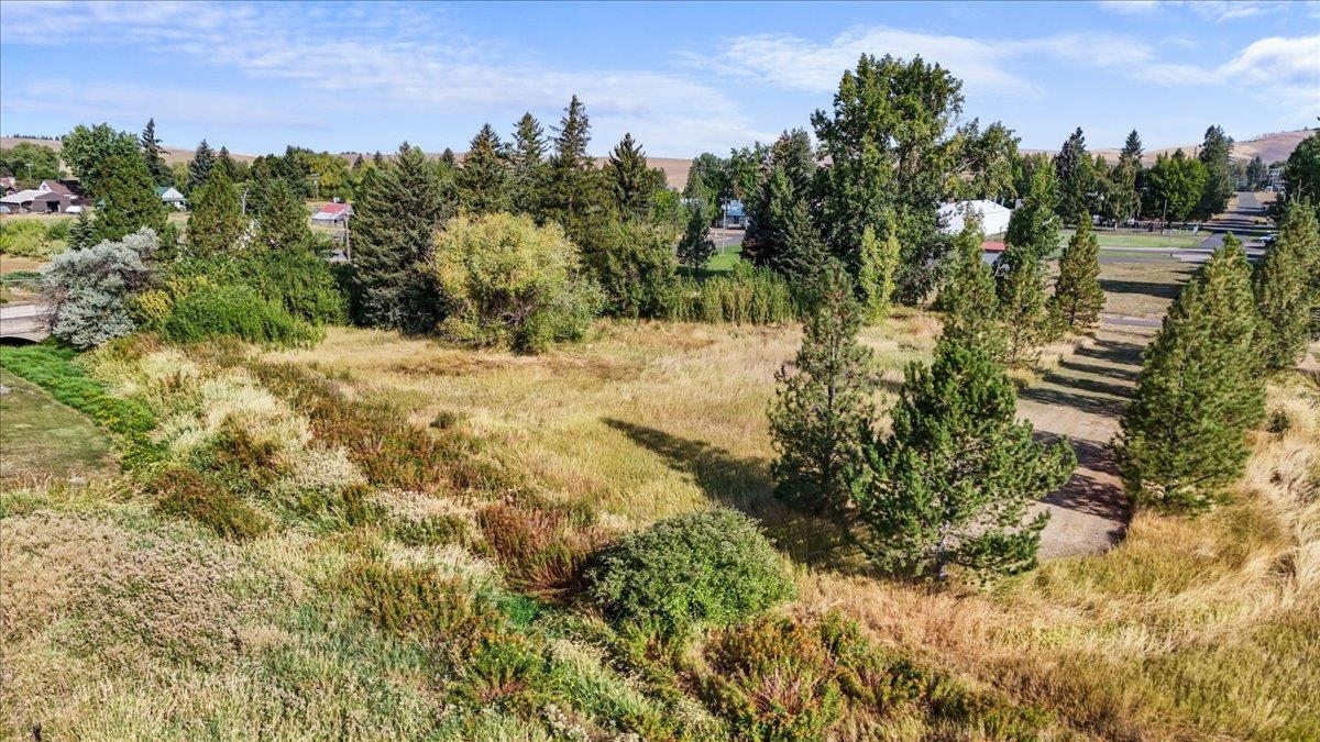 Nna Adams Street Farmington, WA 99128 - Photo 12 of 13