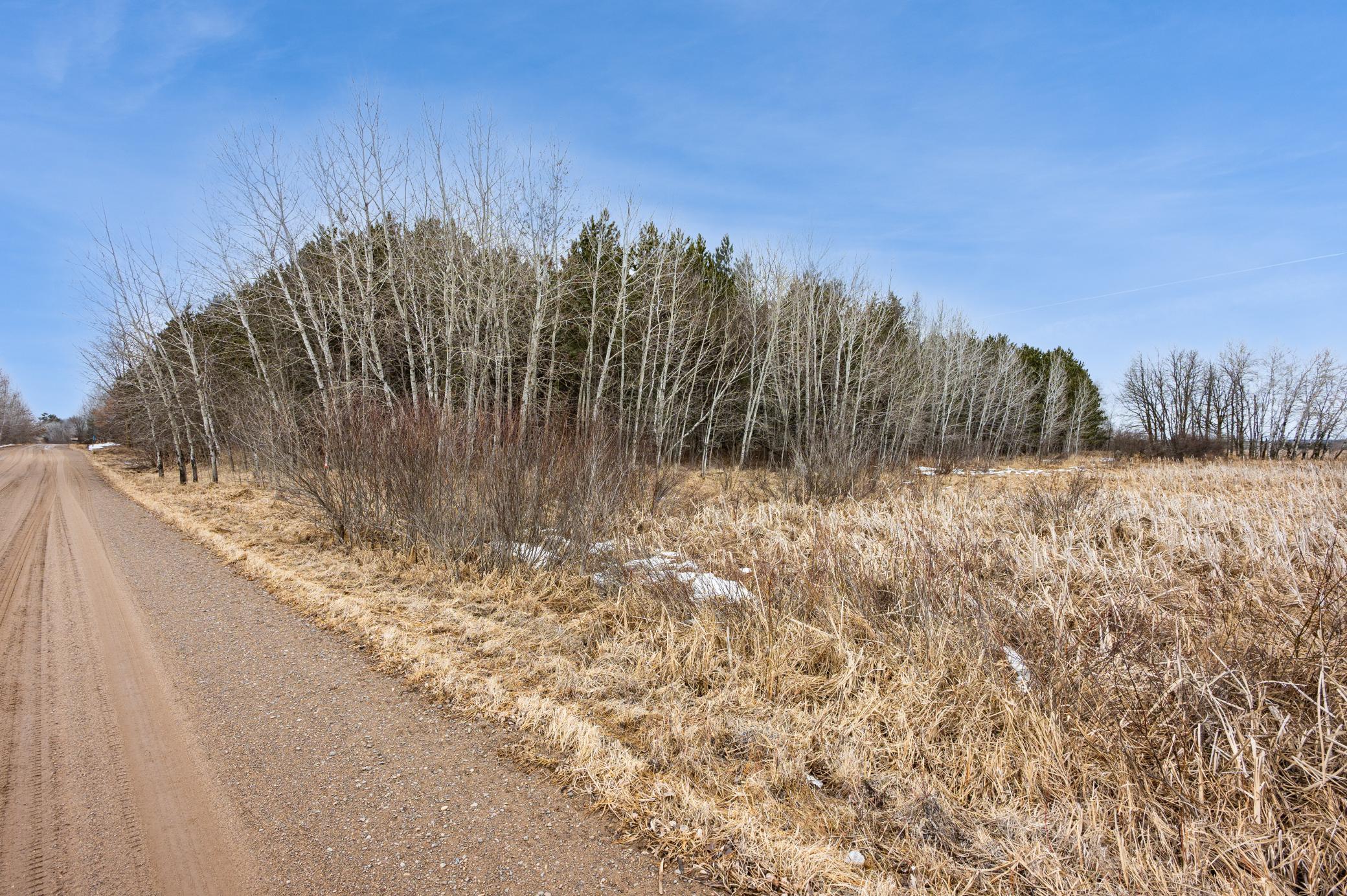 32656 310th Street Browerville, MN 56438 - Photo 3 of 18