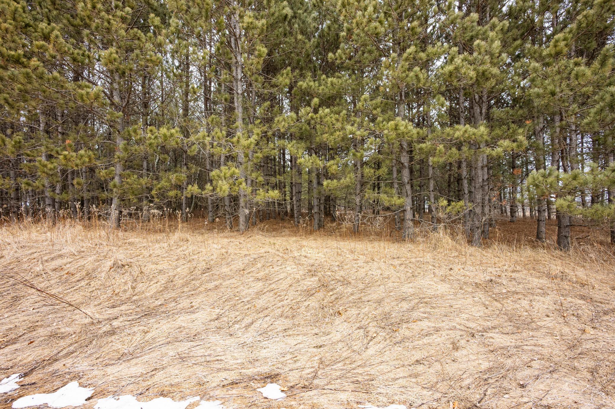 32656 310th Street Browerville, MN 56438 - Photo 4 of 18