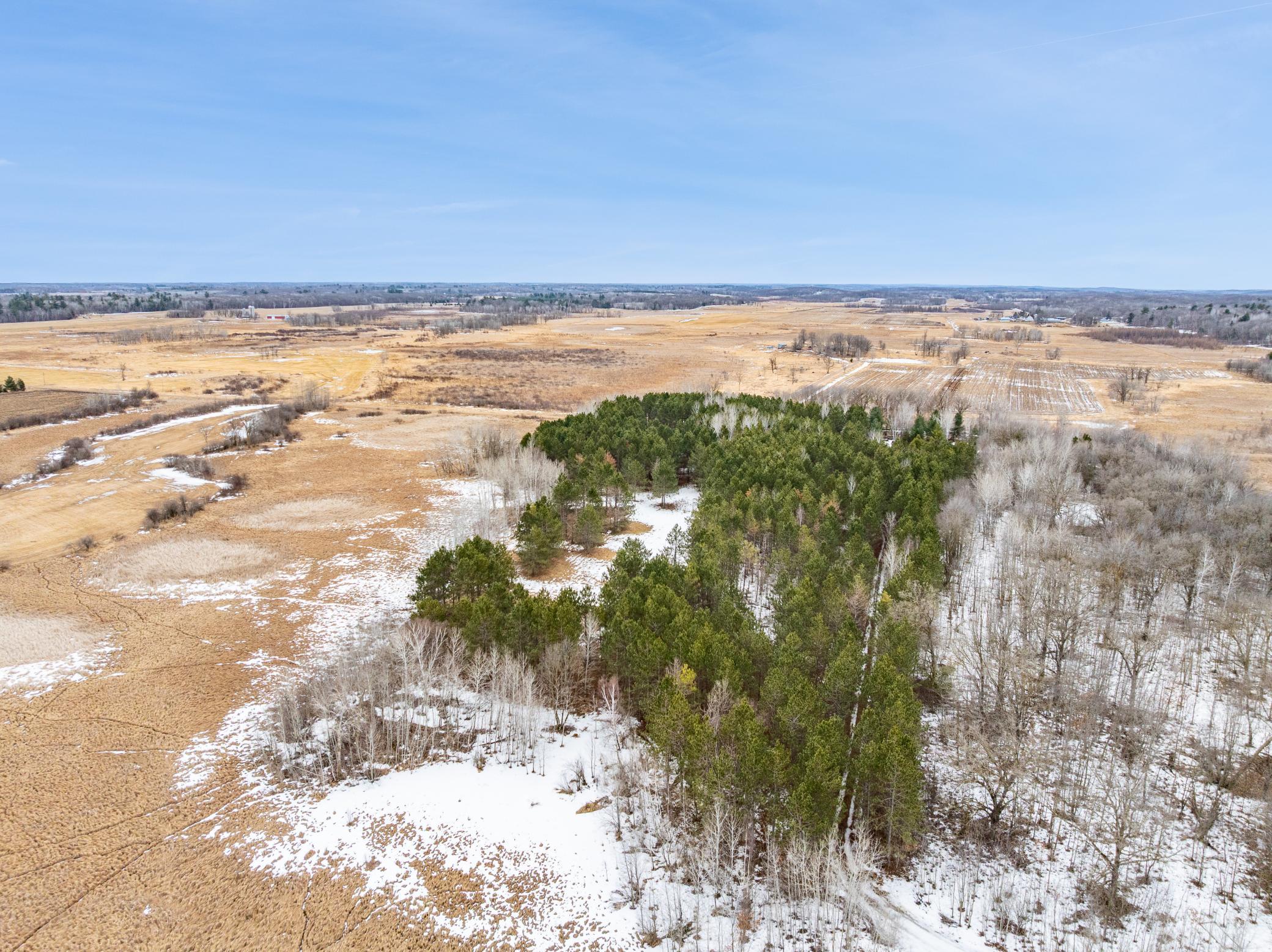 32656 310th Street Browerville, MN 56438 - Photo 9 of 18