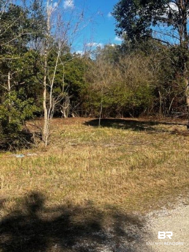 0 Bellingrath Road Theodore, AL 36582 - Photo 4 of 5