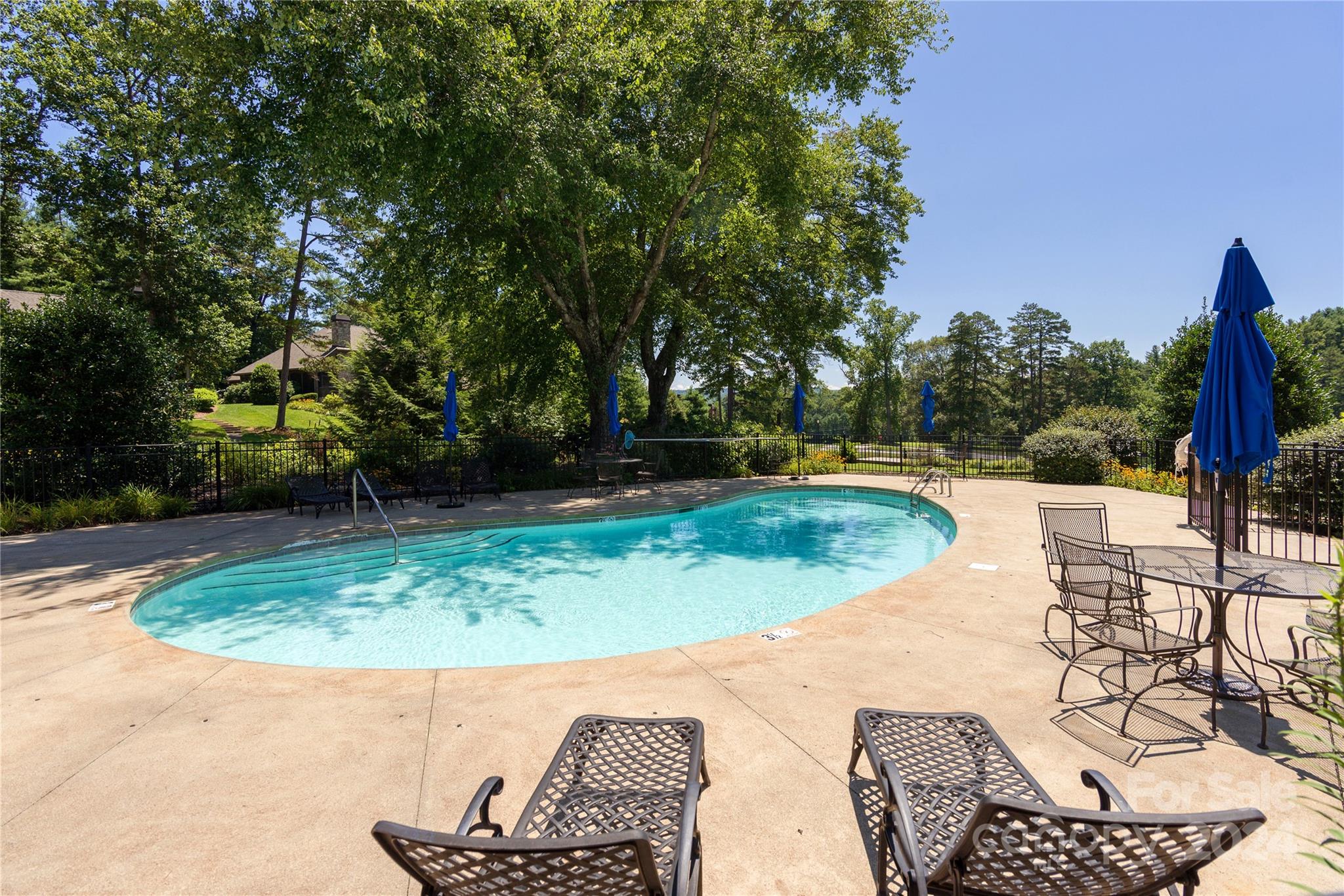 99 Ridgetop Circle, Unit 203 Brevard, NC 28712 - Photo 32 of 36 a view of a swimming pool with a patio