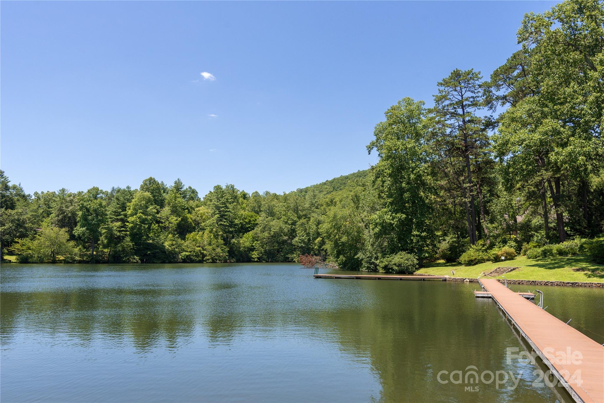 99 Ridgetop Circle, Unit 203 Brevard, NC 28712 - Photo 34 of 36 a view of lake