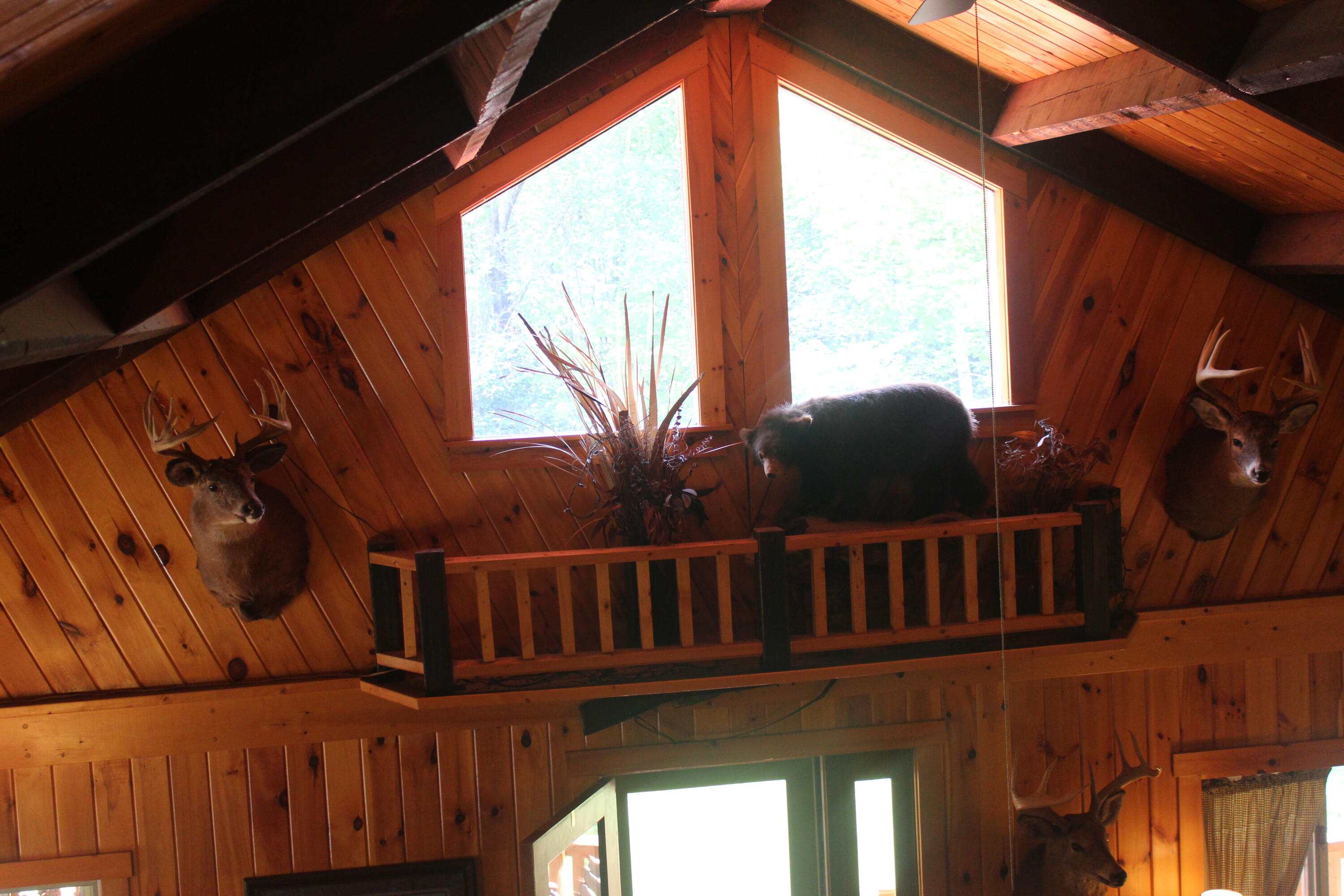 332 Brown Road Oakfield, ME 04763 - Photo 27 of 55 IMG_4322