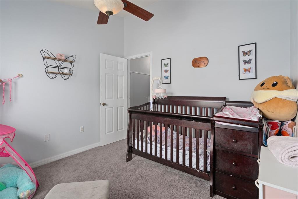 27642 Pleasure Ride Loop Wesley Chapel, FL 33544 - Photo 24 of 33