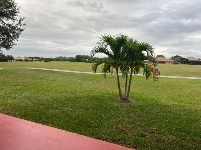 a view of a garden with a palm tree