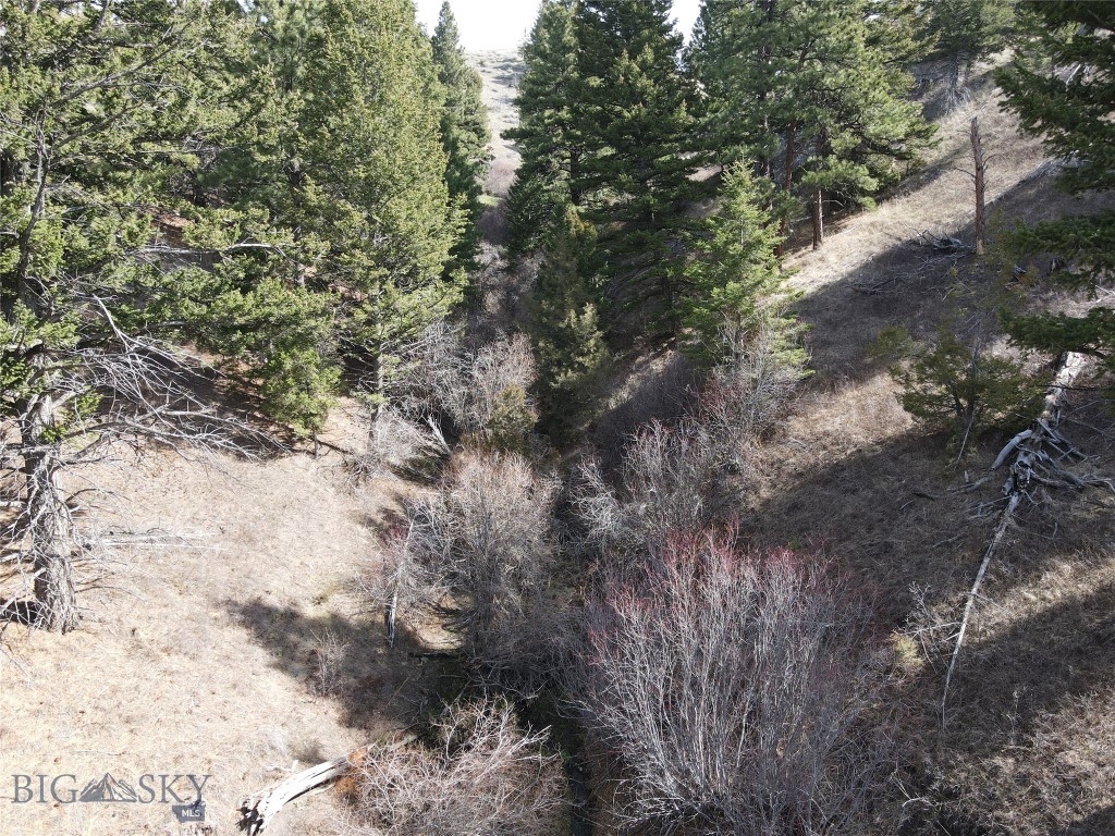 55 Upper Ross Gulch Road Townsend, MT 59644 - Photo 13 of 18 Gallery Image 13
