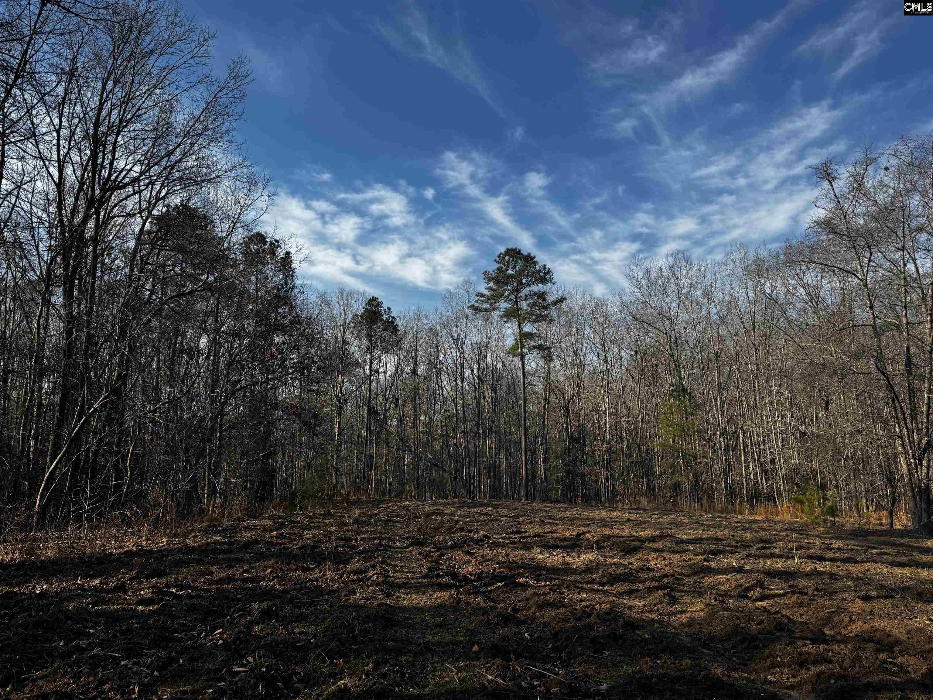 0 Mann Road Winnsboro, SC 29180 - Photo 11 of 22