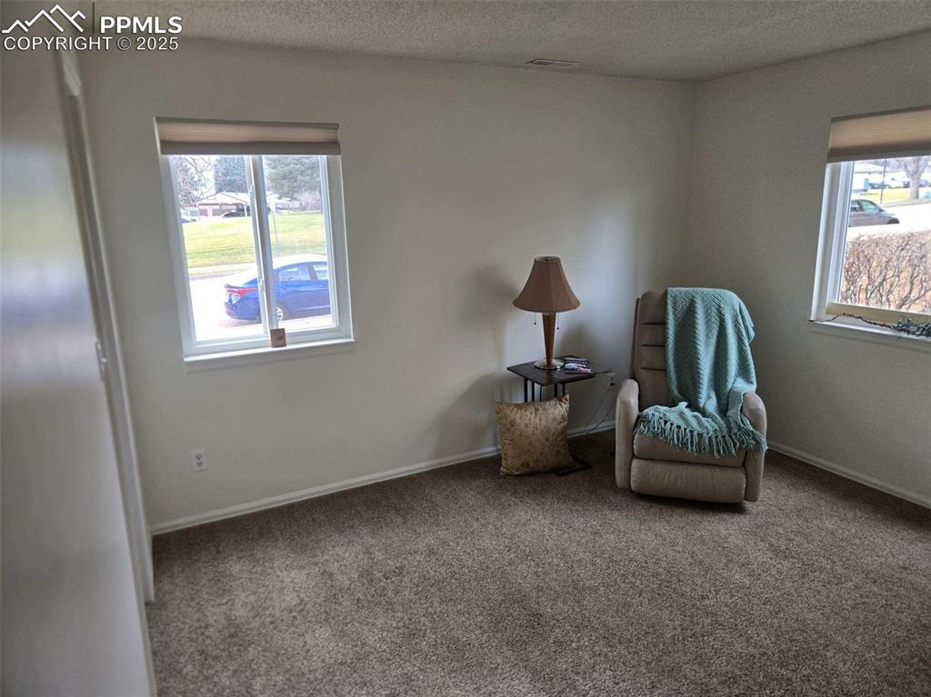 850 Tenderfoot Hill Road, Unit 103 Colorado Springs, CO 80906 - Photo 13 of 20 a bedroom with furniture and a window