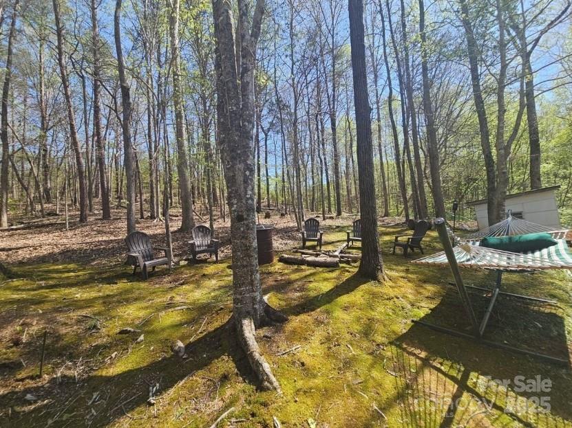 1597 Cleghorn Mill Road Rutherfordton, NC 28139 - Photo 19 of 24