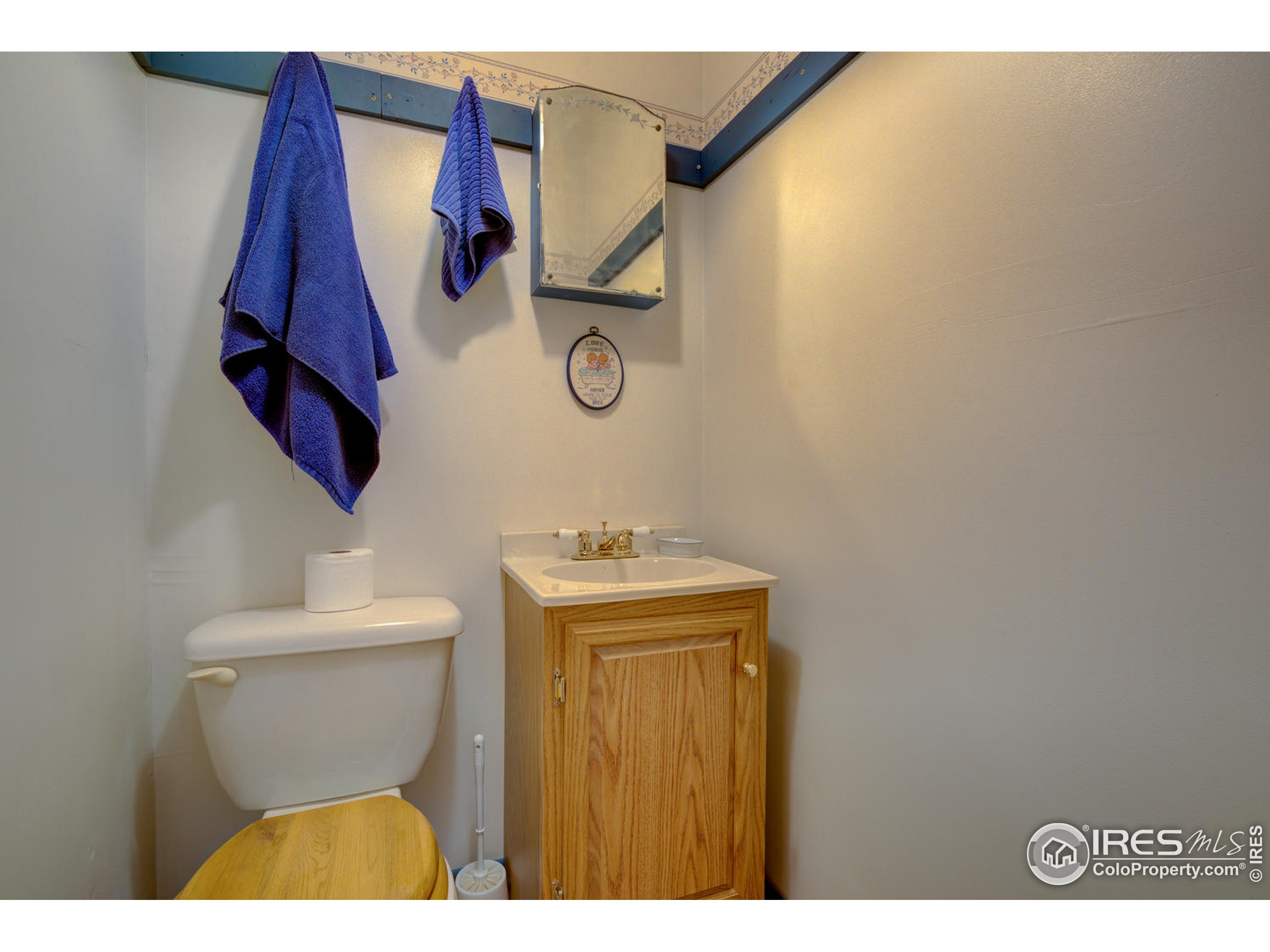 900 Spruce Drive Lyons, CO 80540 - Photo 19 of 40