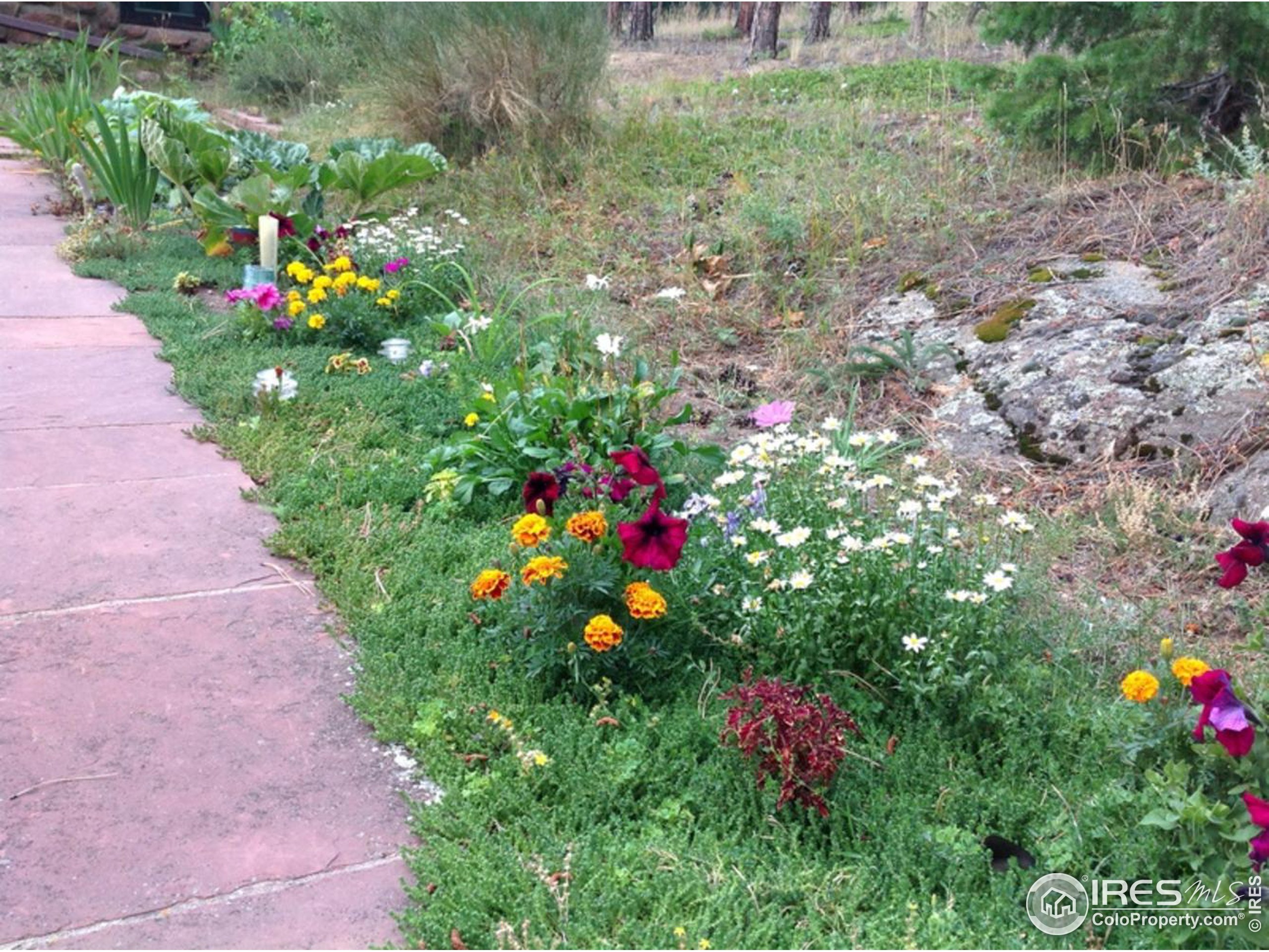 900 Spruce Drive Lyons, CO 80540 - Photo 37 of 40