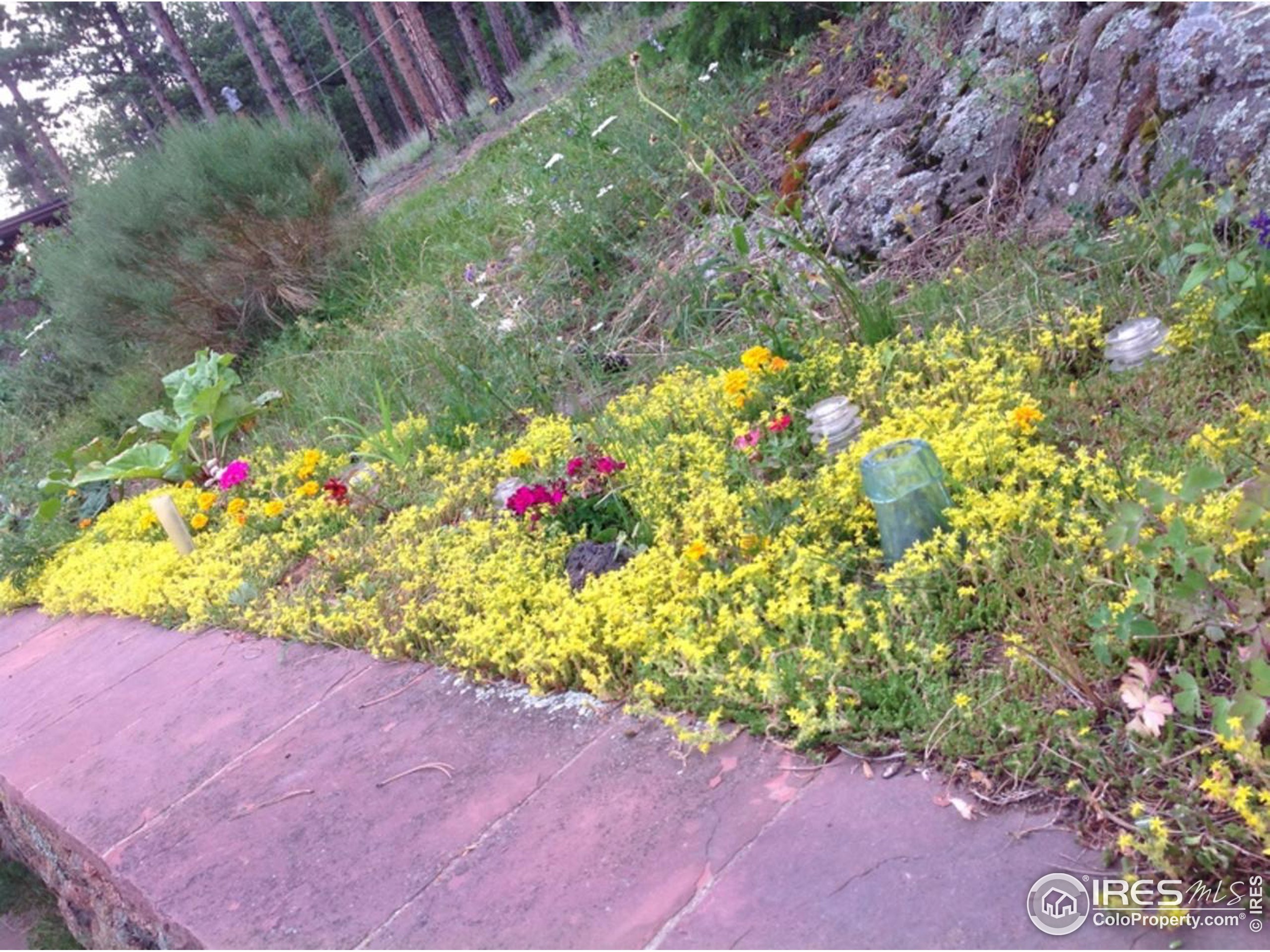 900 Spruce Drive Lyons, CO 80540 - Photo 40 of 40