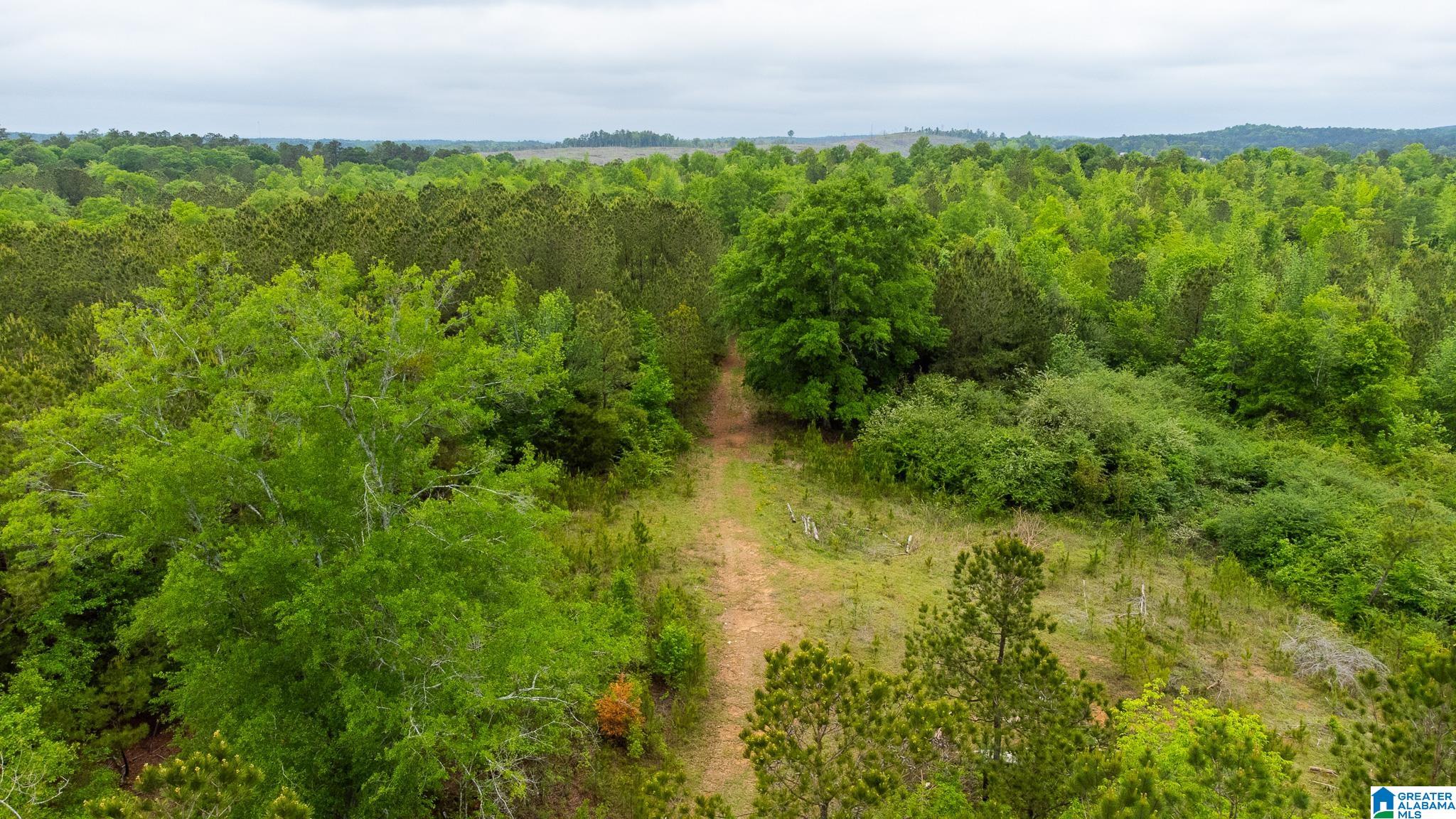 0 Cove Access Road, Unit 28 Talladega, AL 35160 - Photo 9 of 12