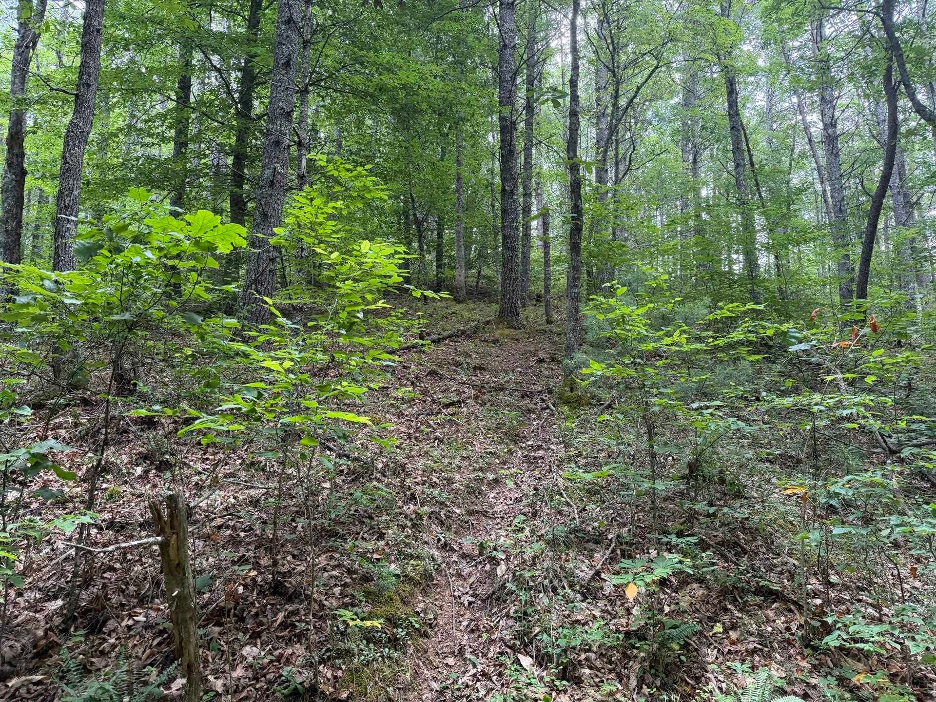 Tbd Short Ridge Drive Bland, VA 24315 - Photo 35 of 125 Gallery Image 35