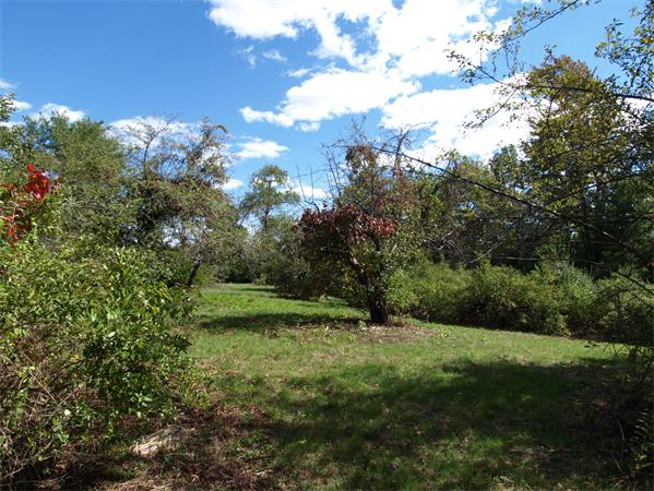 Lot A Lot A Manor Road Bolton, MA 01740 - Photo 1 of 1 Gallery Image 1