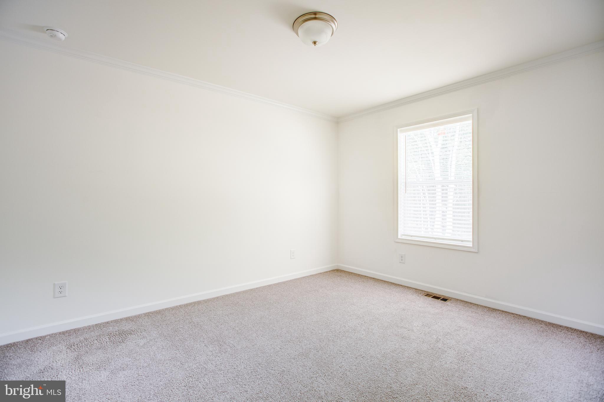 4603 Tabscott Road Columbia, VA 23038 - Photo 2 of 31
