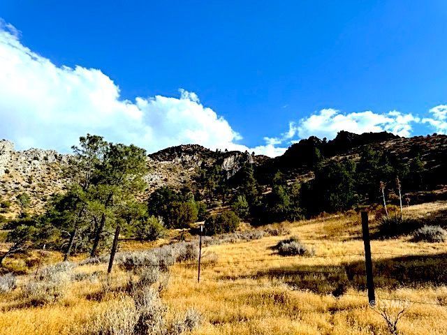 Tice Rd Lake Mountain Mesa, CA 93240 - Photo 8 of 18