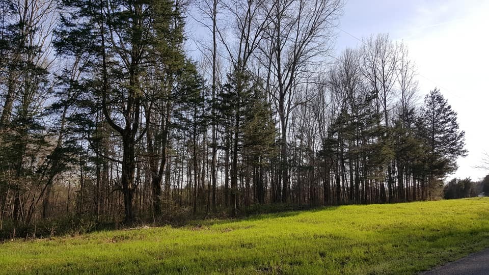 1 Tom Littlejohn Road Columbia, TN 38401 - Photo 1 of 1 a view of swimming pool with trees in background