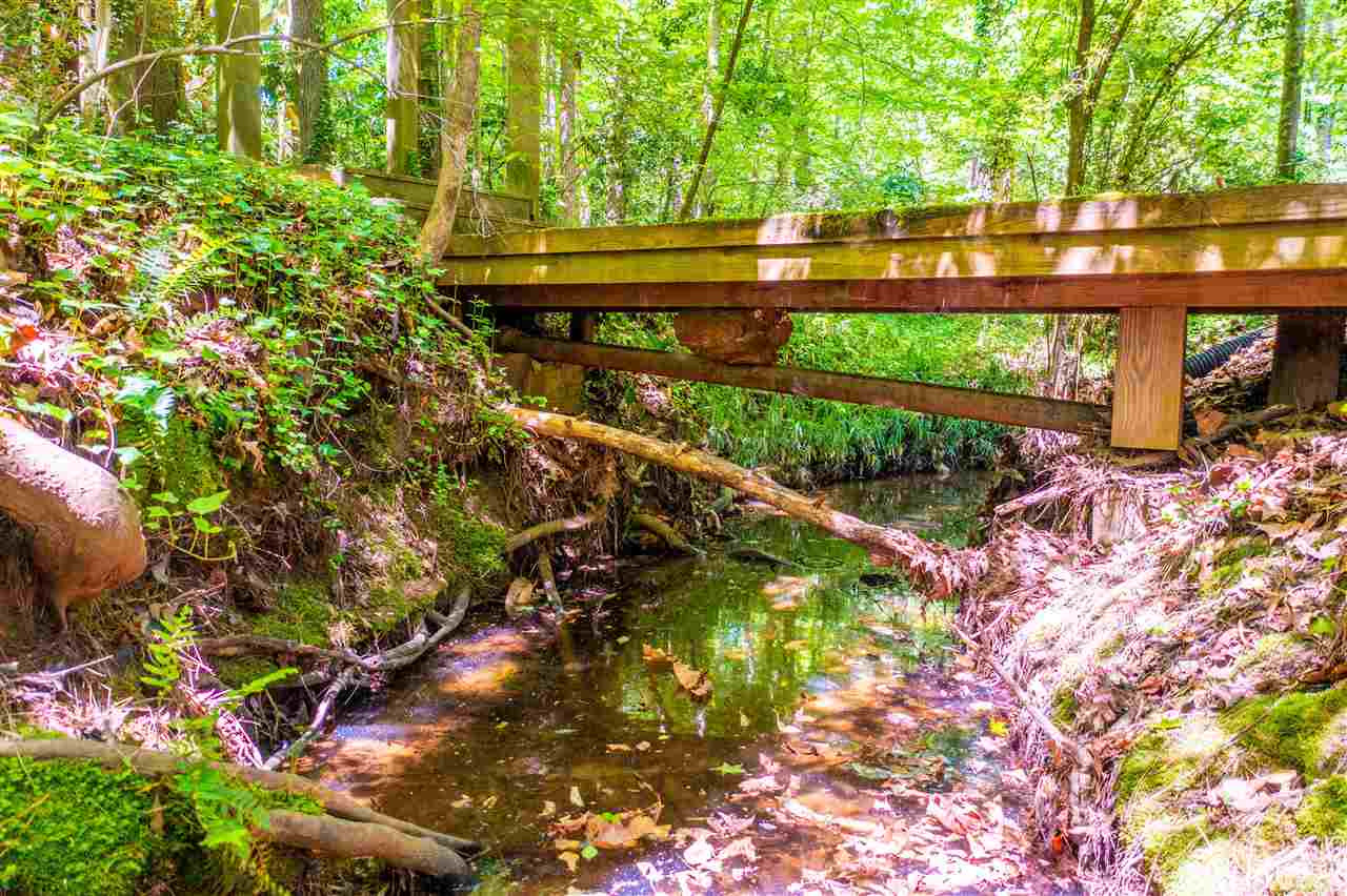 3905 Darby Road Durham, NC 27707 - Photo 26 of 30 Bridge over creek