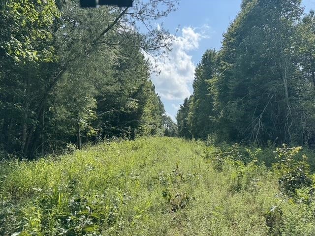 11269 Dawson Road Princeton, KY 42445 - Photo 19 of 37 Gallery Image 19