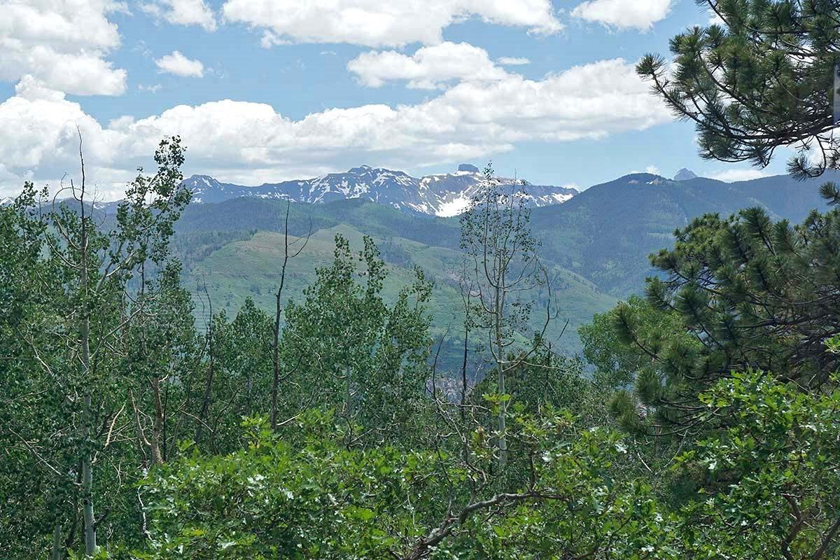 141 Valley View Road Ridgway, CO 81432 - Photo 8 of 31 1Jorgenson8