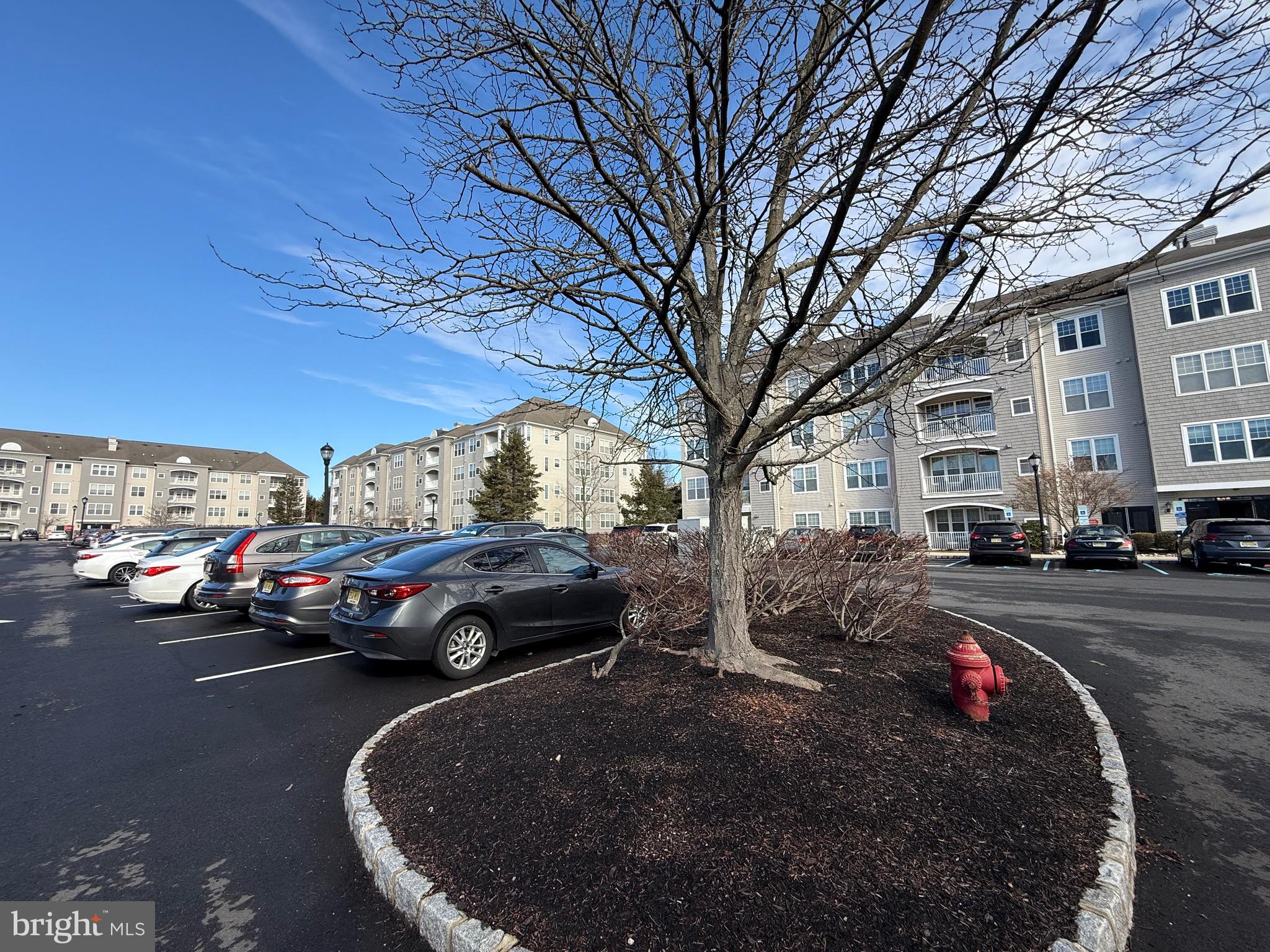 231 Masterson Court Ewing, NJ 08618 - Photo 3 of 43 a view of street with parked cars