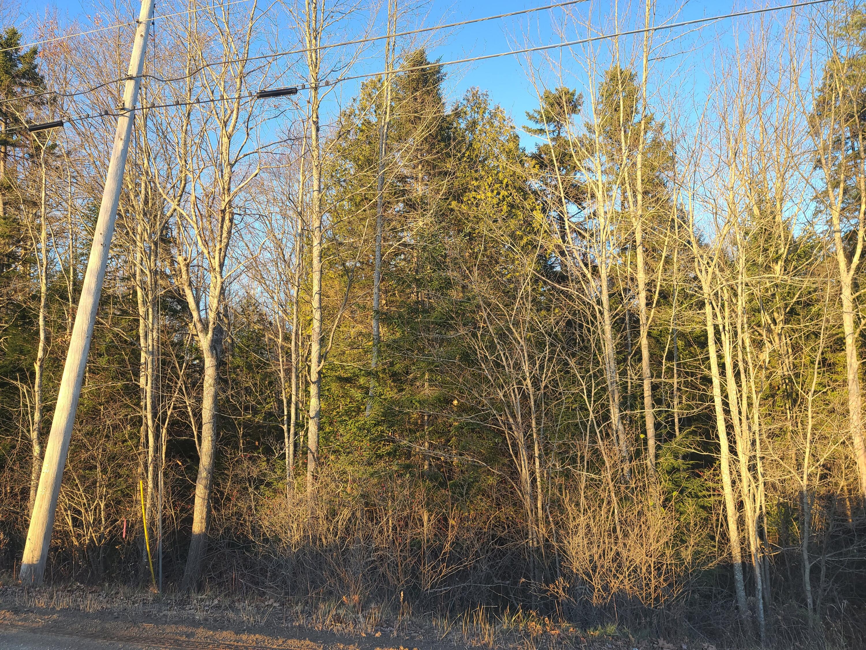 0 Fowle Hill Road Wiscasset, ME 04578 - Photo 6 of 6 20211120_152842