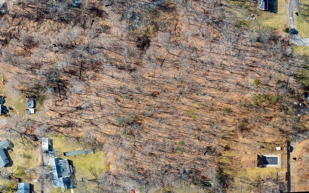 0 Donald East Longmeadow, MA 01028 - Photo 5 of 8 a close up of a tree