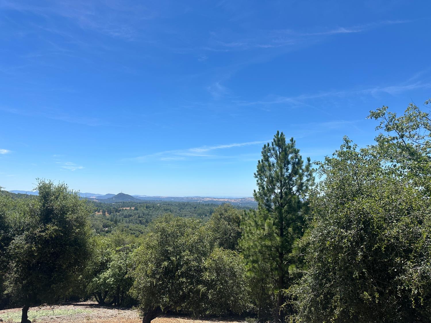 0 Bowman Road Pine Grove, CA 95665 - Photo 11 of 30