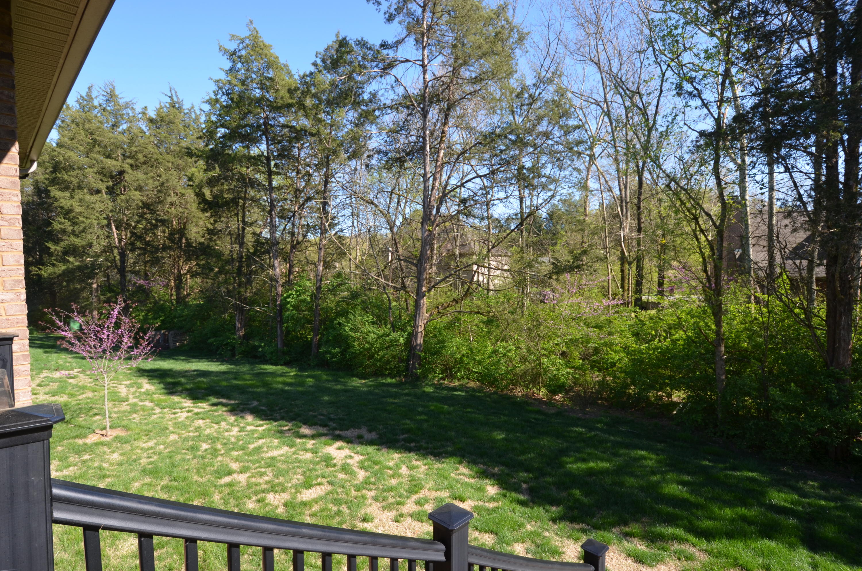 505 Emory Valley Road Oak Ridge, TN 37830 - Photo 31 of 34 DSC_0526