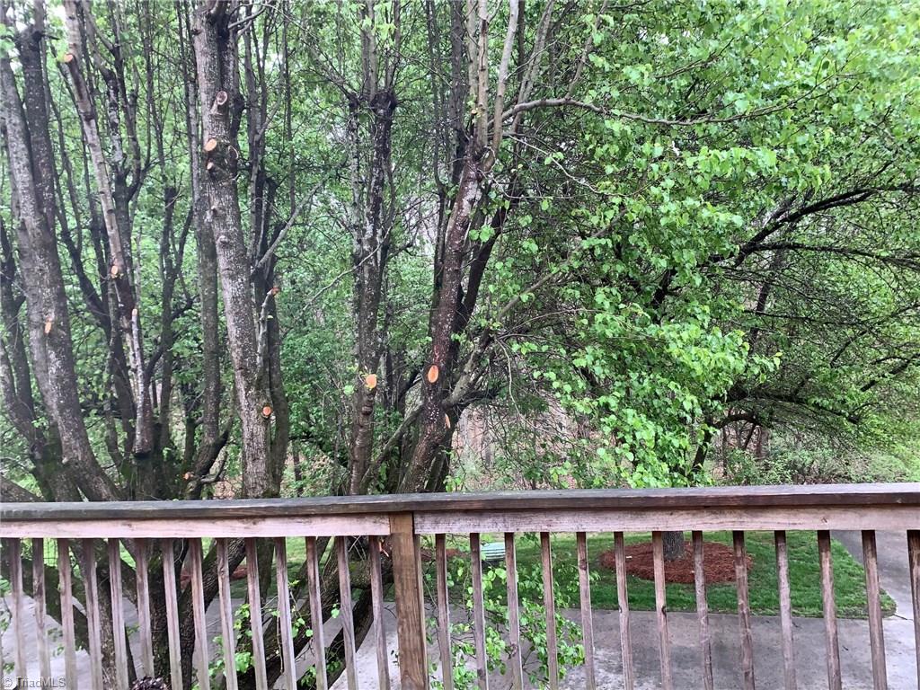 1007 Cherokee Court High Point, NC 27262 - Photo 24 of 24 Backyard
