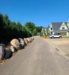 $550,000 | 1050 Old Long Lake Road, Long Lake, MN 55356