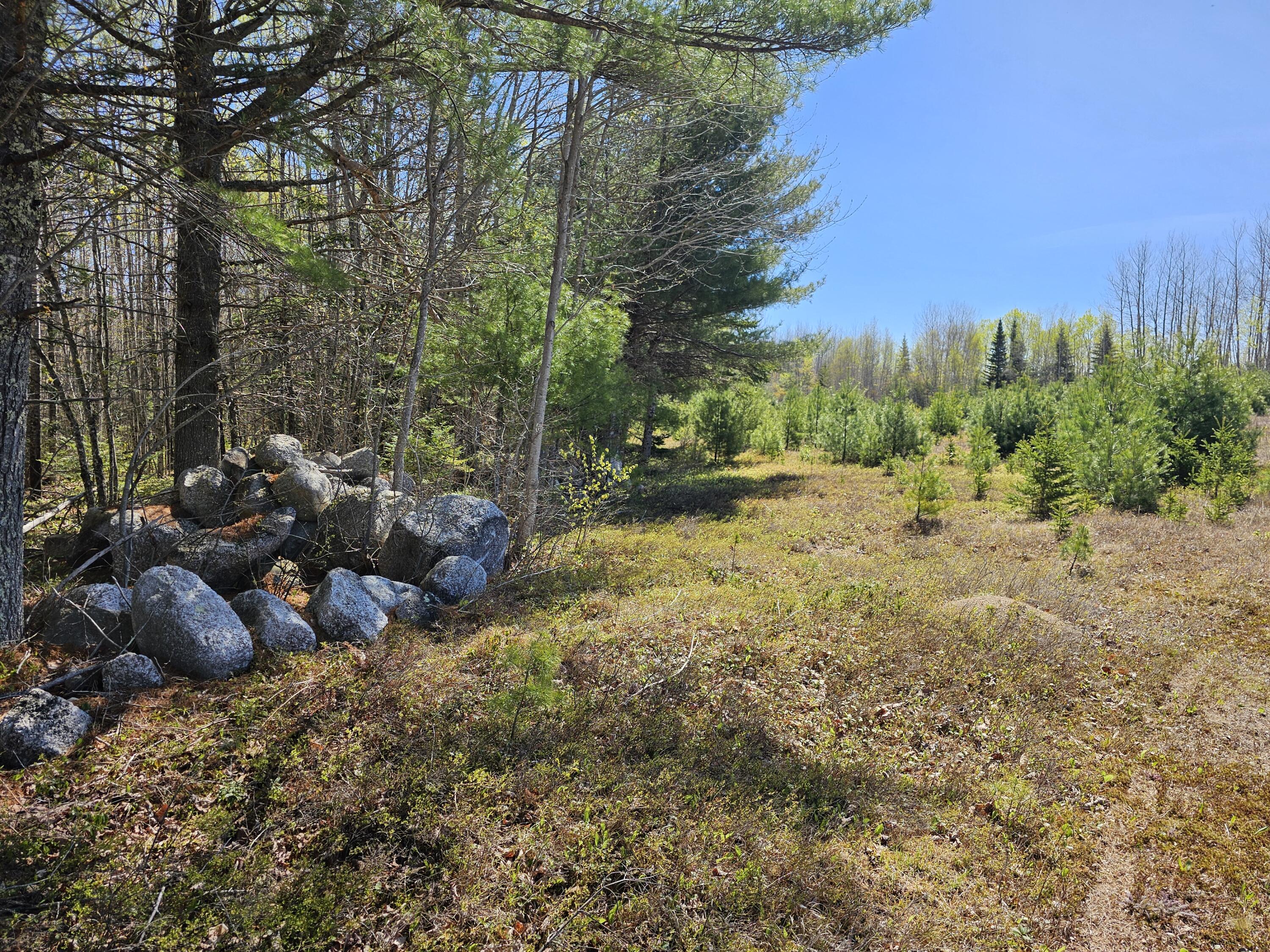 0 Georges Pond Road Franklin, ME 04634 - Photo 12 of 43 20250513_101008