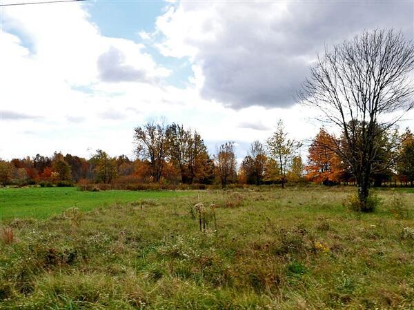 0 Sims Road Southwest Pataskala, OH 43062 - Photo 21 of 21 Sims Rd. SW