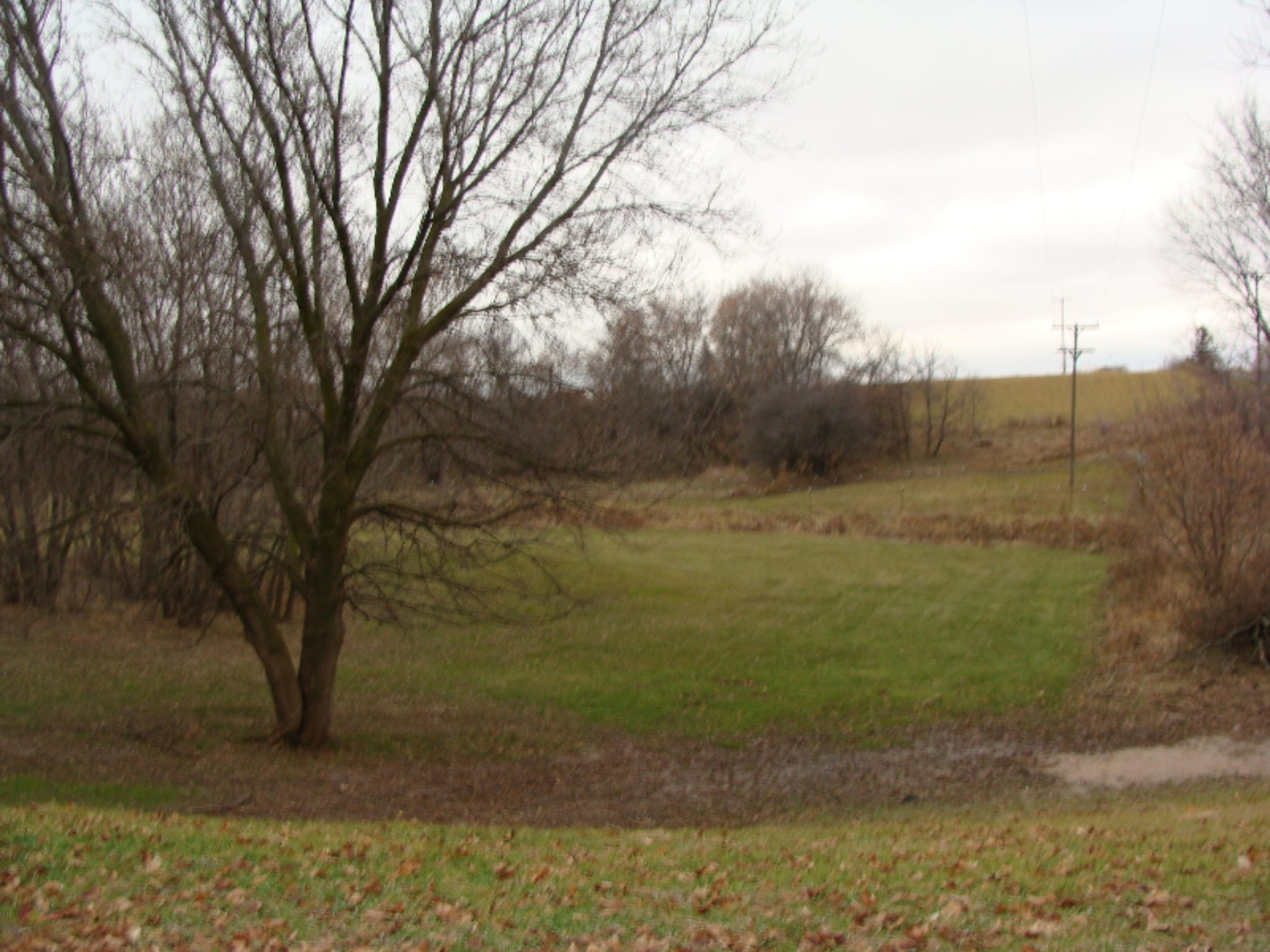 1587 Johnson Road Belding, MI 48809 - Photo 4 of 24 DSC07100