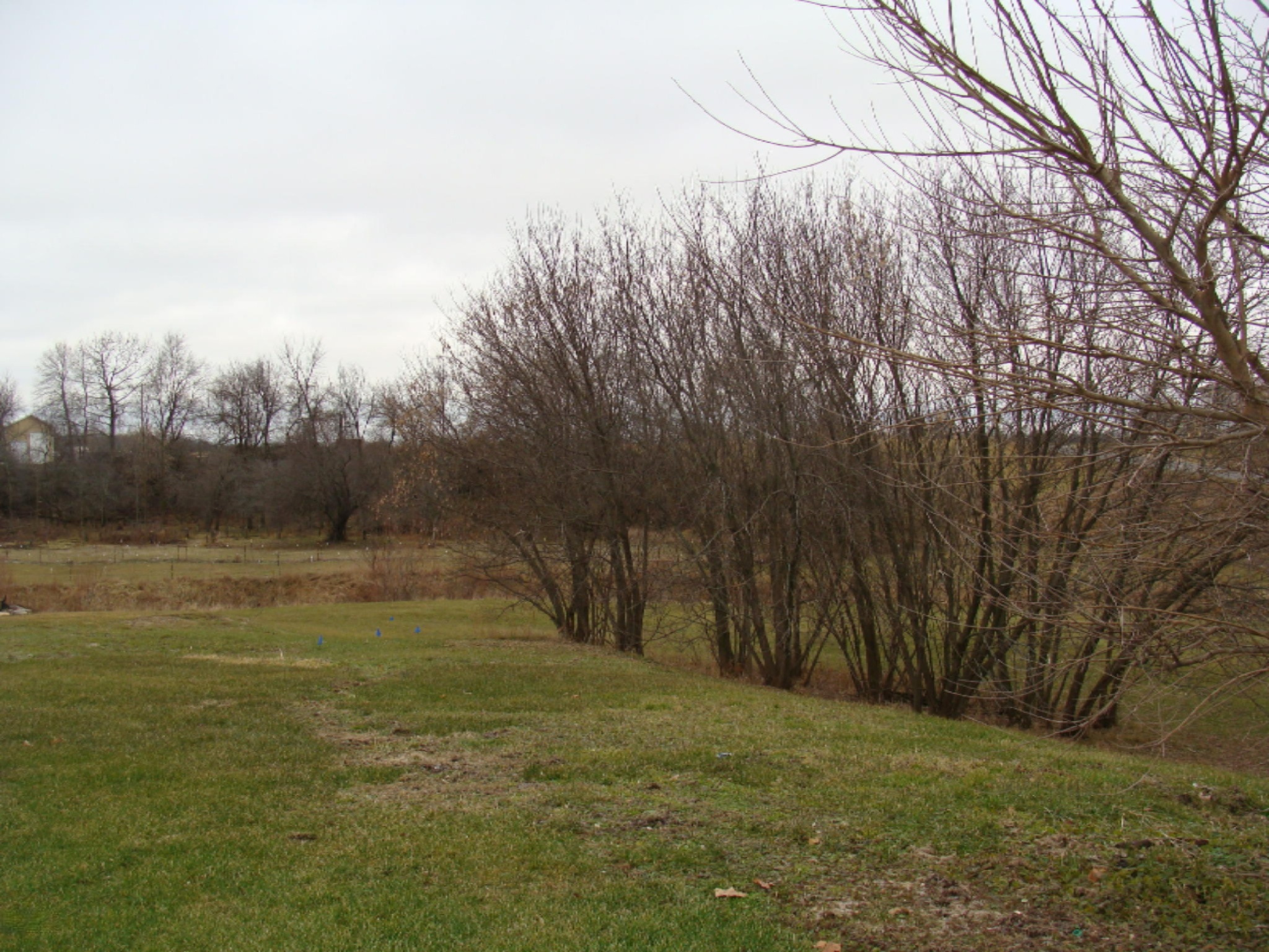 1587 Johnson Road Belding, MI 48809 - Photo 5 of 24 DSC07099