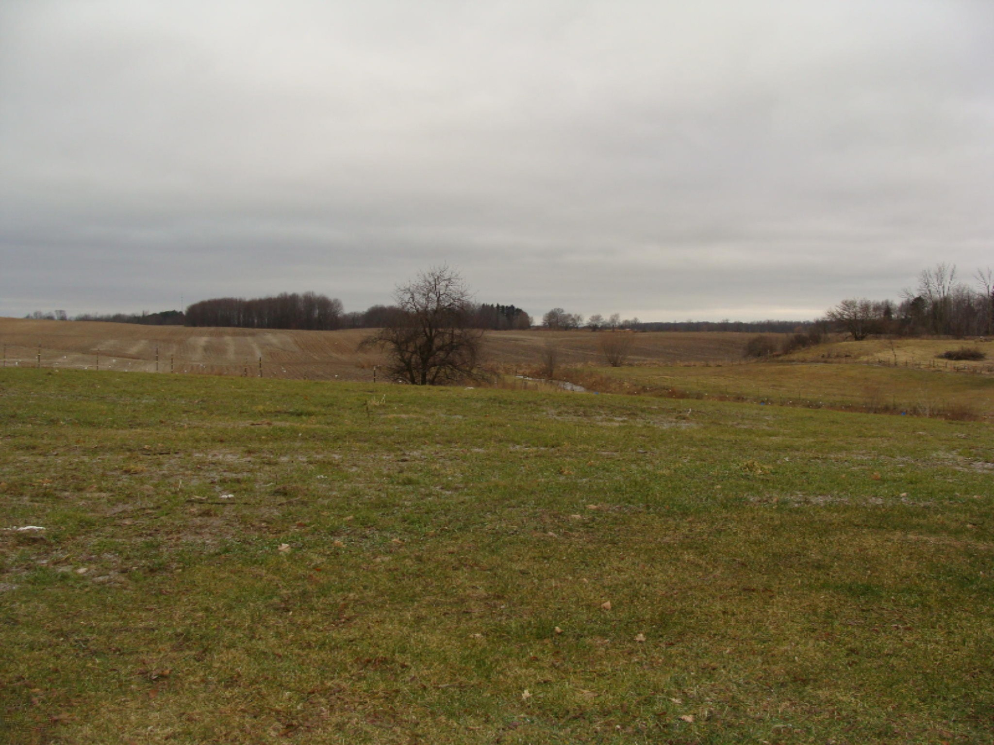 1587 Johnson Road Belding, MI 48809 - Photo 6 of 24 DSC07098