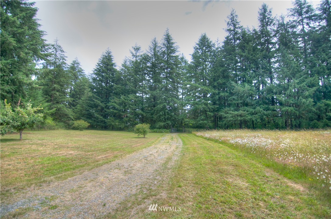 17108 Littlerock Road Southwest Rochester, WA 98579 - Photo 2 of 25