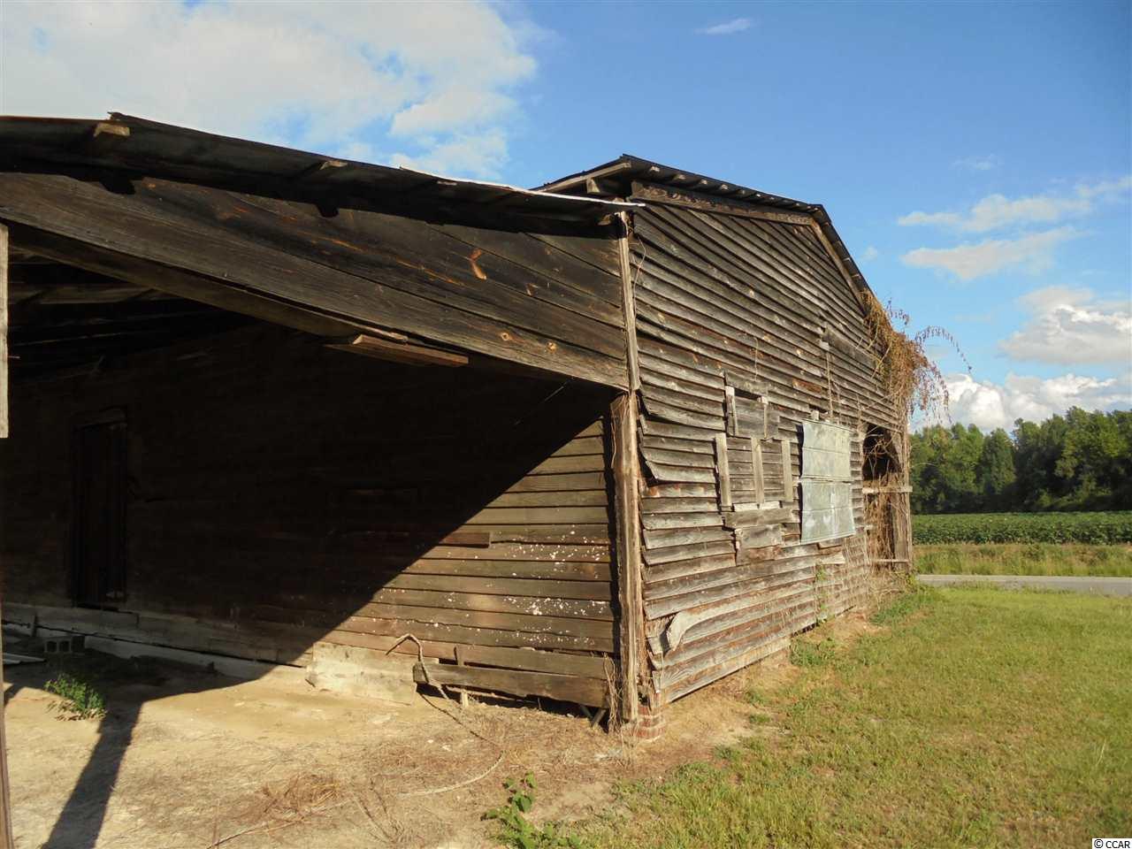 322 Cattle Farm Road Marion, SC 29571 - Photo 21 of 25 Gallery Image 21